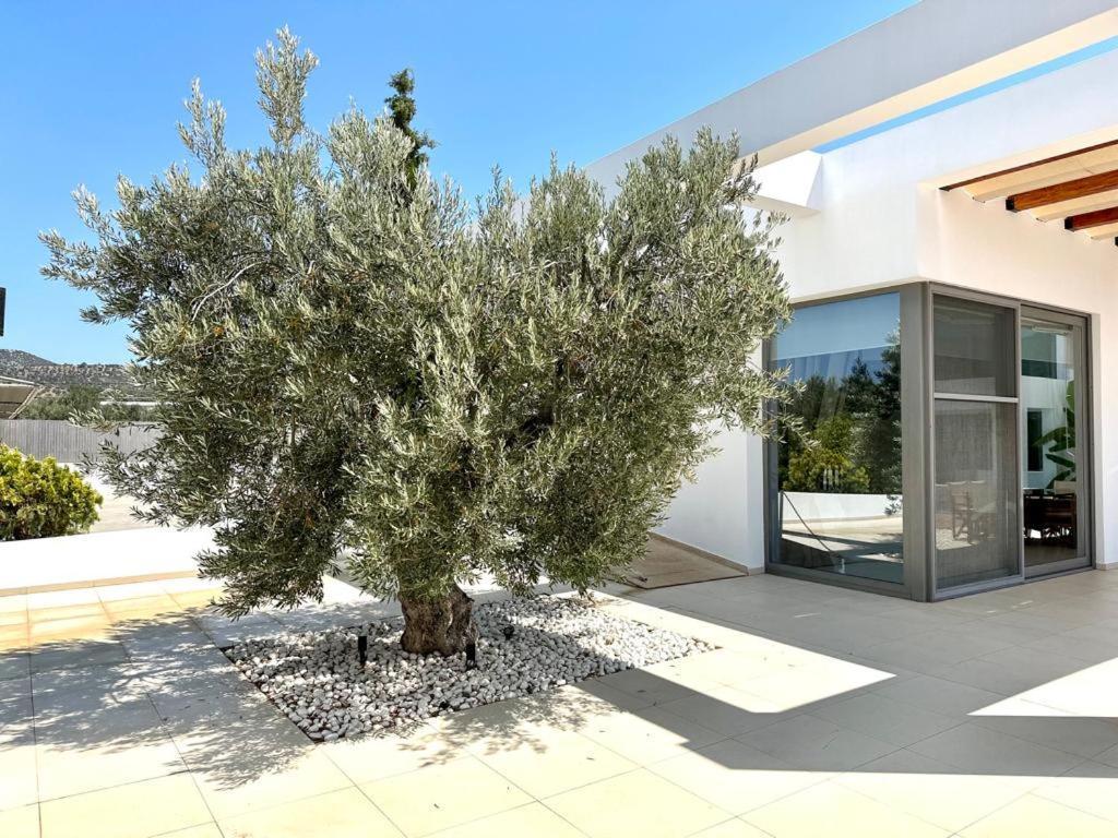 ארמיוני Leblanc Luxurious Beachfront Villa, Gcollectiongr מראה חיצוני תמונה