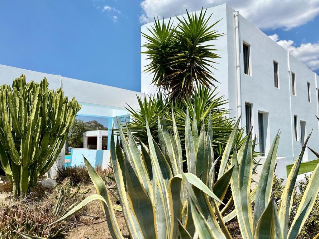 ארמיוני Leblanc Luxurious Beachfront Villa, Gcollectiongr מראה חיצוני תמונה