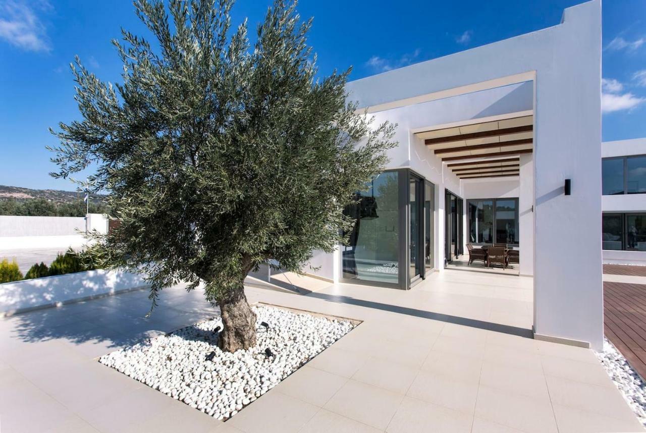 ארמיוני Leblanc Luxurious Beachfront Villa, Gcollectiongr מראה חיצוני תמונה